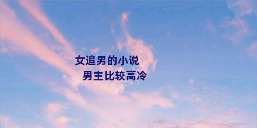 女追男的小说 男主比较高冷
